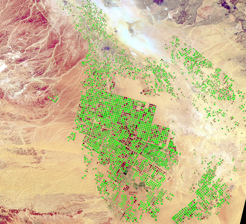 Feb. 21, 2016, Landsat 8 (path/row 172/39) — center-pivot irrigation, Saudi Arabia