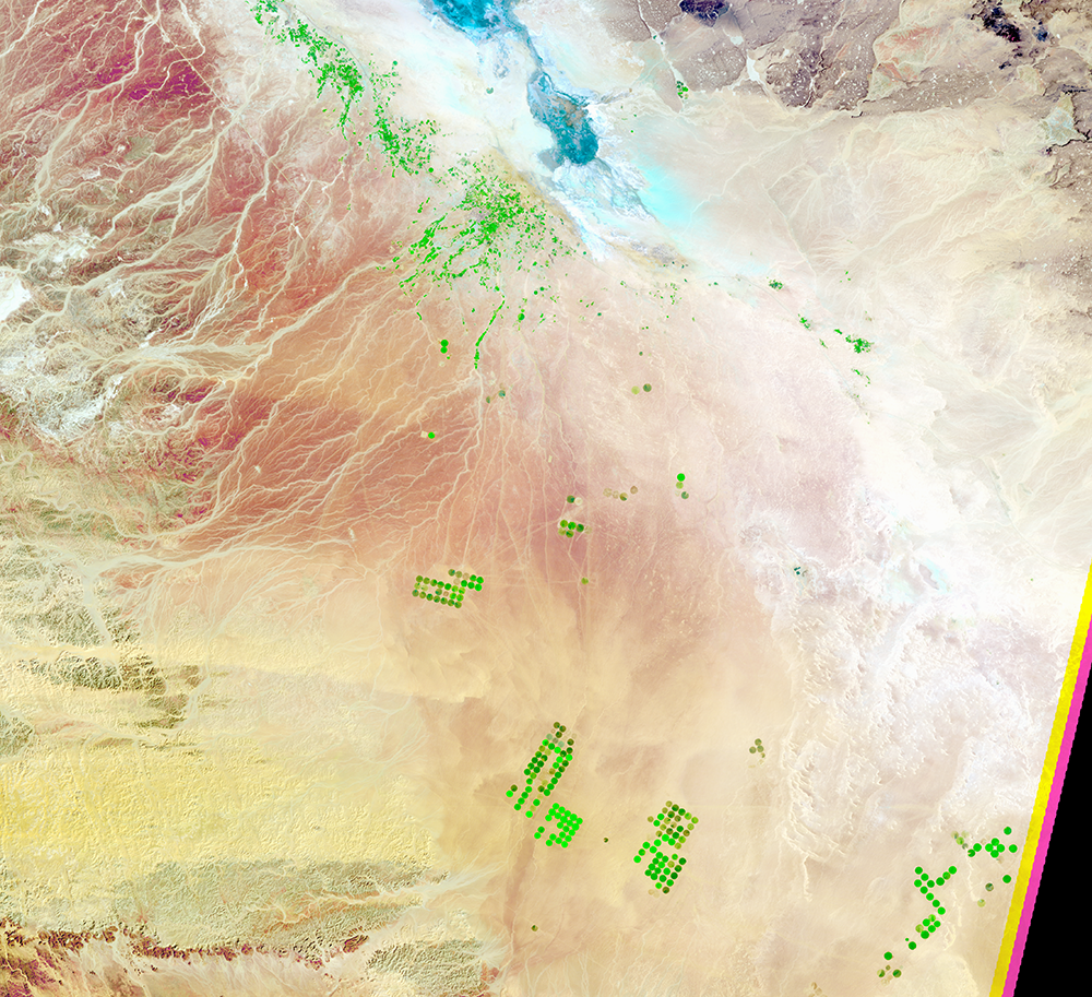 Feb. 24, 1991, Landsat 5 (path/row 172/39) — center-pivot irrigation, Saudi Arabia