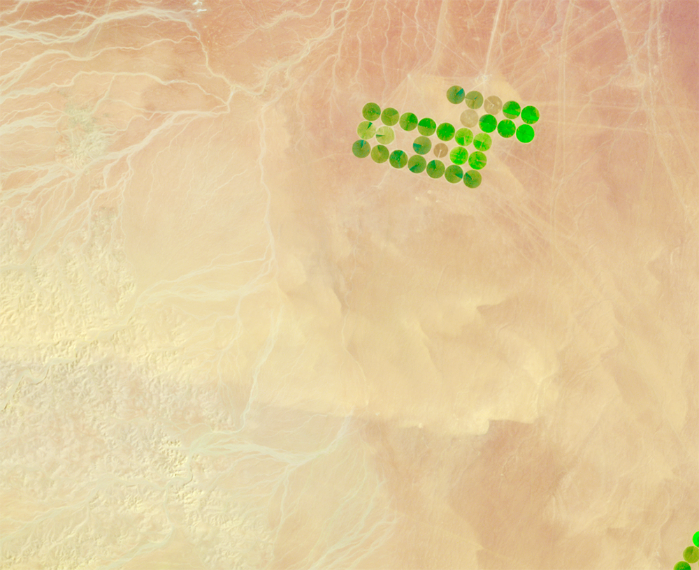  Feb. 24, 1991, Landsat 5 (path/row 172/39) — center-pivot irrigation, Saudi Arabia