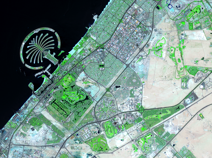 June 1, 2019, Landsat 8 (path/row 160/42,43) — Palm Jumeirah, Dubai, United Arab Emirates