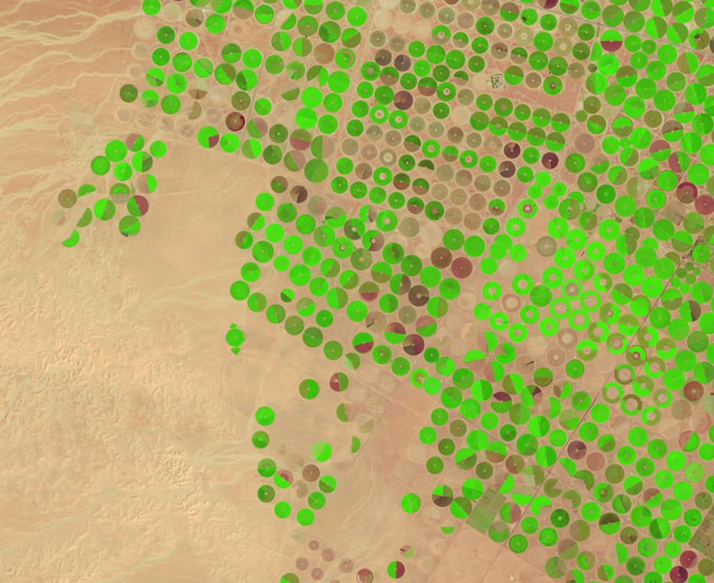 Mar. 14, 2018, Landsat 8 (path/row 172/39) — center-pivot irrigation, Saudi Arabia