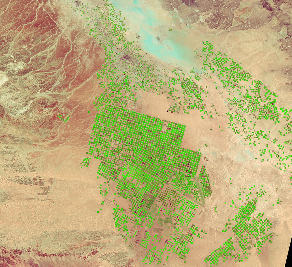 Mar. 14, 2018, Landsat 8 (path/row 172/39) — center-pivot irrigation, Saudi Arabia