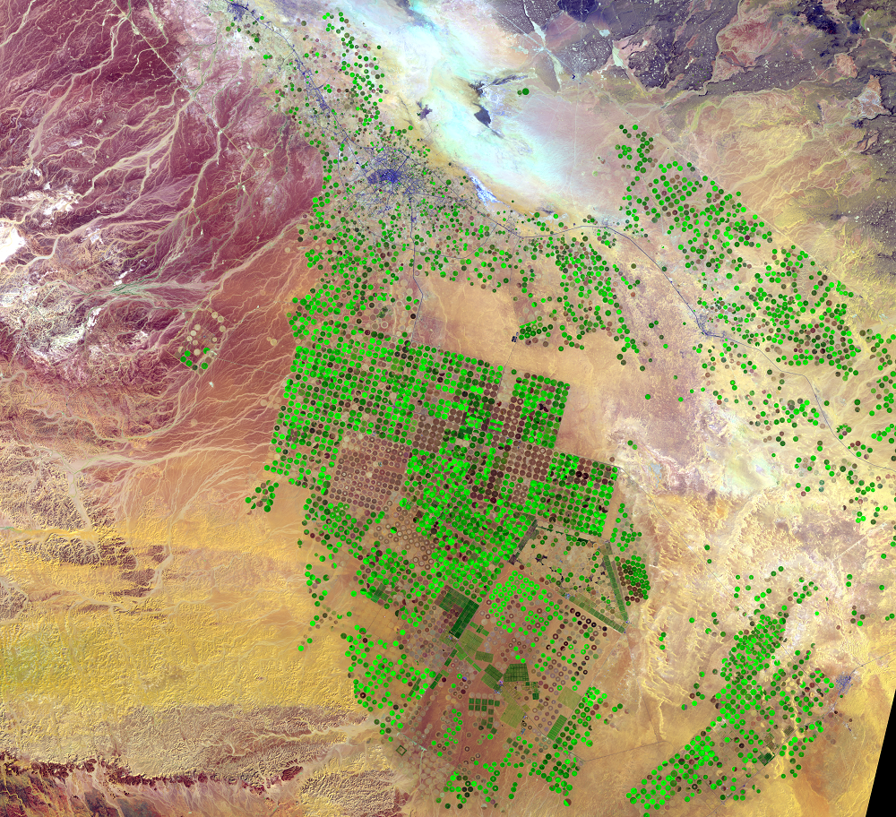 March 3, 2020, Landsat 8 (path/row 172/39) — center-pivot irrigation, Saudi Arabia