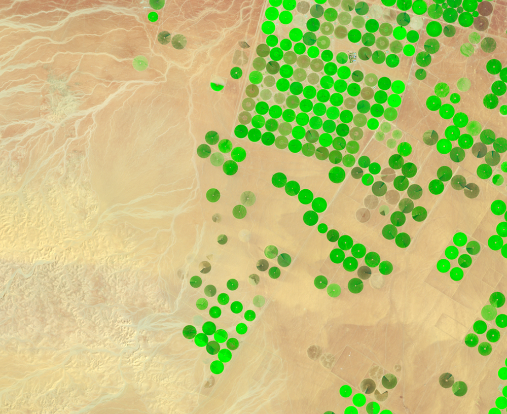 Mar. 4, 2000, Landsat 7 (path/row 172/39) — center-pivot irrigation, Saudi Arabia