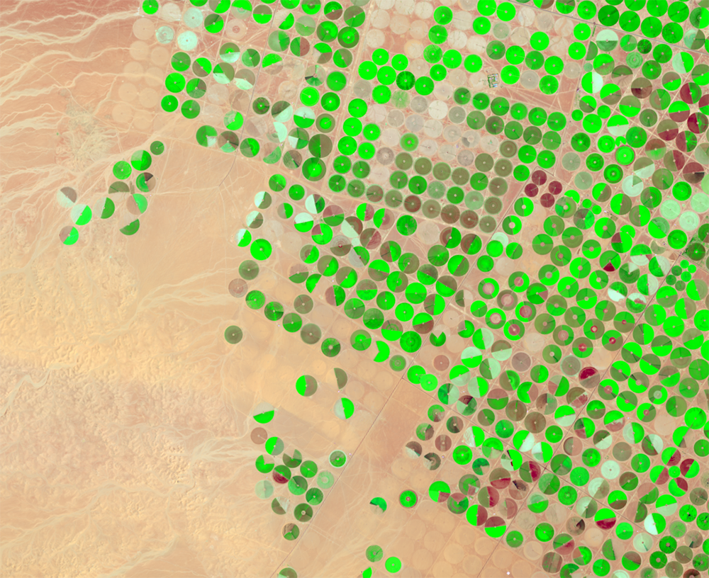 Aug. 23, 2013, Landsat 8 (path/row 172/39) — center-pivot irrigation, Saudi Arabia
