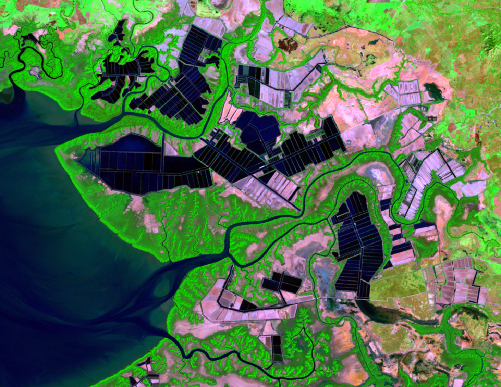 Jan. 10, 2000, Landsat 5 (path/row 17/51) — Shrimp farms on the Gulf of Fonseca, Honduras and Nicaragua