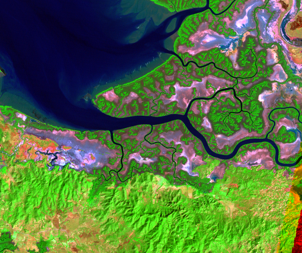 Jan. 13, 1987, Landsat 5 (path/row 18/51) — Shrimp farms on the Gulf of Fonseca, Honduras and Nicaragua
