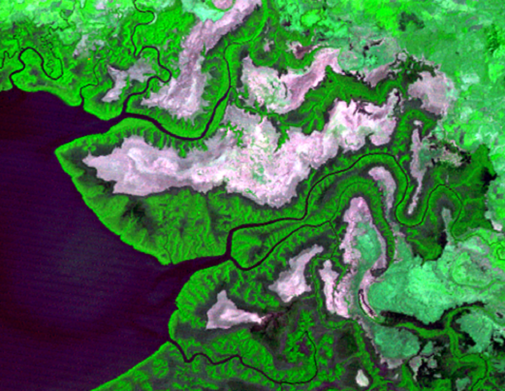 Jan. 23, 1976, Landsat 2 (path/row 18/51) — Shrimp farms on the Gulf of Fonseca, Honduras and Nicaragua
