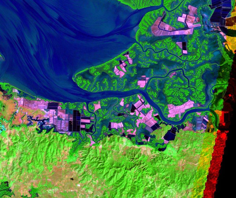 Jan. 25, 2000, Landsat 7 (path/row 18/51) — Shrimp farms on the Gulf of Fonseca, Honduras and Nicaragua