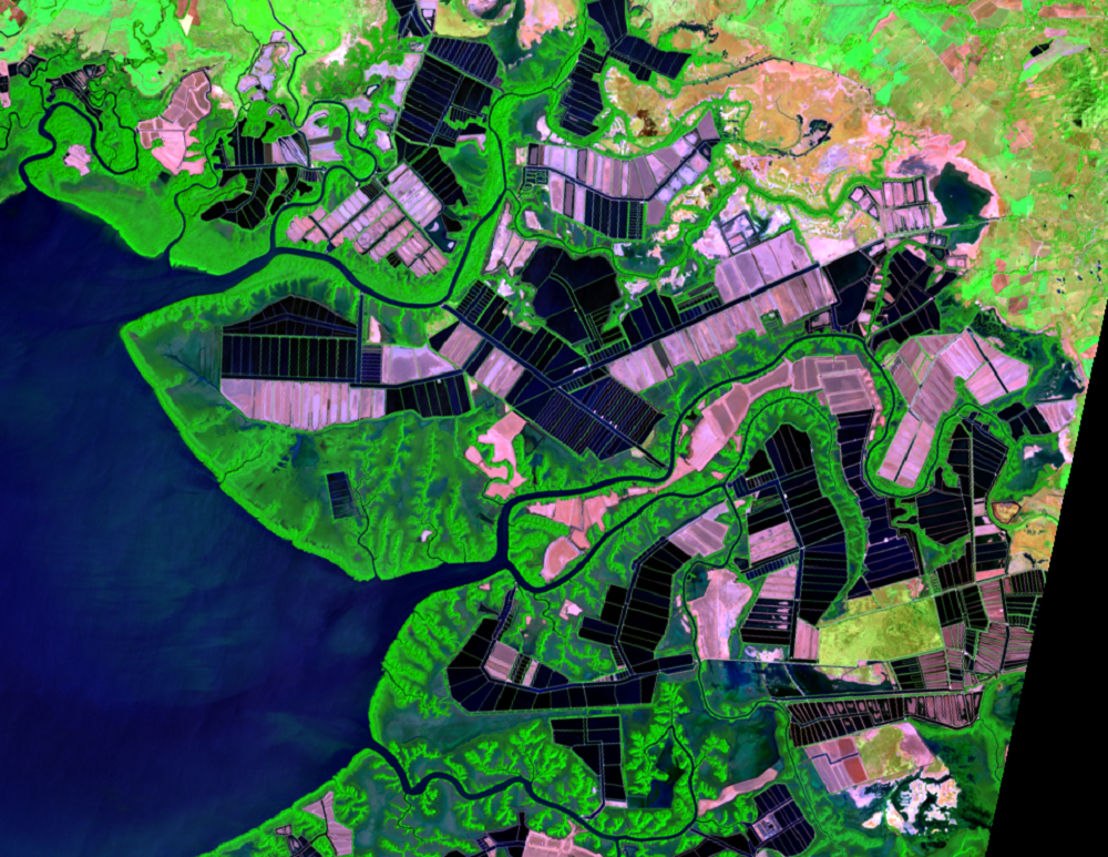 Jan. 26, 2015, Landsat 8 (path/row 18/51) — Shrimp farms on the Gulf of Fonseca, Honduras and Nicaragua