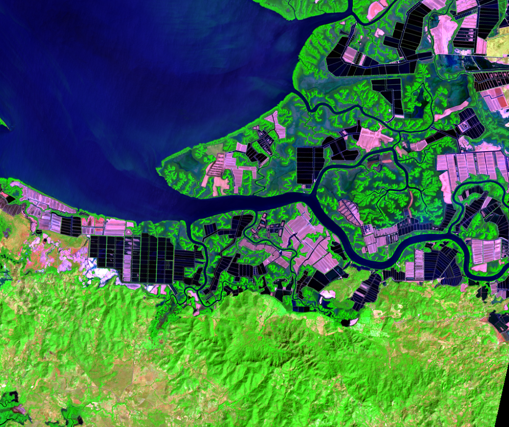 Jan. 26, 2015, Landsat 8 (path/row 18/51) — Shrimp farms on the Gulf of Fonseca, Honduras and Nicaragua