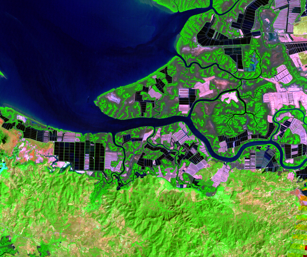 Jan. 31, 2011, Landsat 5 (path/row 18/51) — Shrimp farms on the Gulf of Fonseca, Honduras and Nicaragua