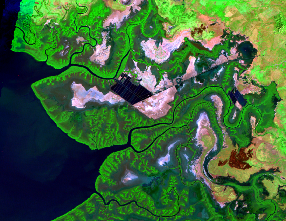 Jan. 6, 1987, Landsat 5 (path/row 17/51) — Shrimp farms on the Gulf of Fonseca, Honduras and Nicaragua