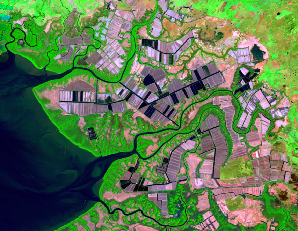 Jan. 8, 2011, Landsat 5 (path/row 17/51) — Shrimp farms on the Gulf of Fonseca, Honduras and Nicaragua