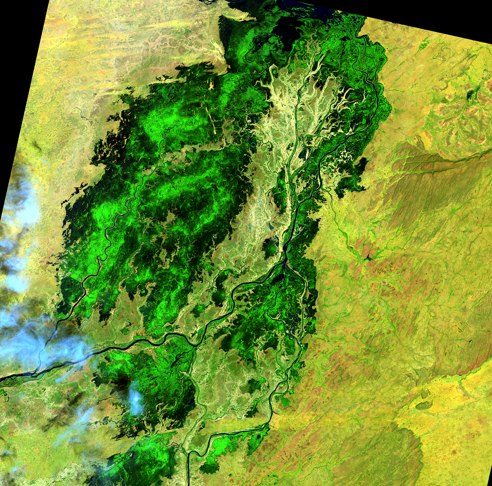 Oct. 28, 2014, Landsat 8 (path/row 197/50) — Seasonal change in the Niger River Inland Delta, Mali