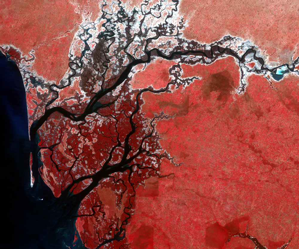Oct. 31, 1992, Landsat 4 (path/row 205/50) — Saloum River, Senegal
