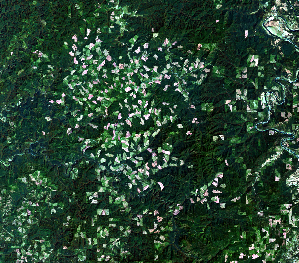 July 14, 2017, Landsat 8 (path/row 46/30) — logging patterns, OR, USA