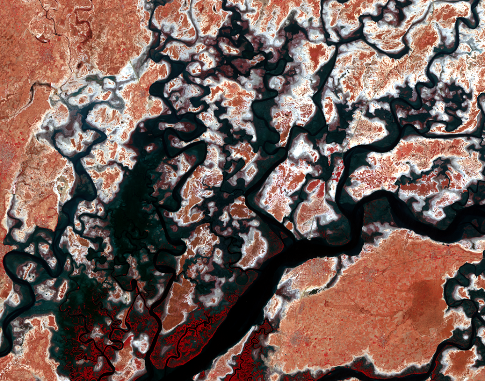Nov. 26, 2016, Landsat 8 (path/row 205/50) — Close up of Saloum River, Senegal