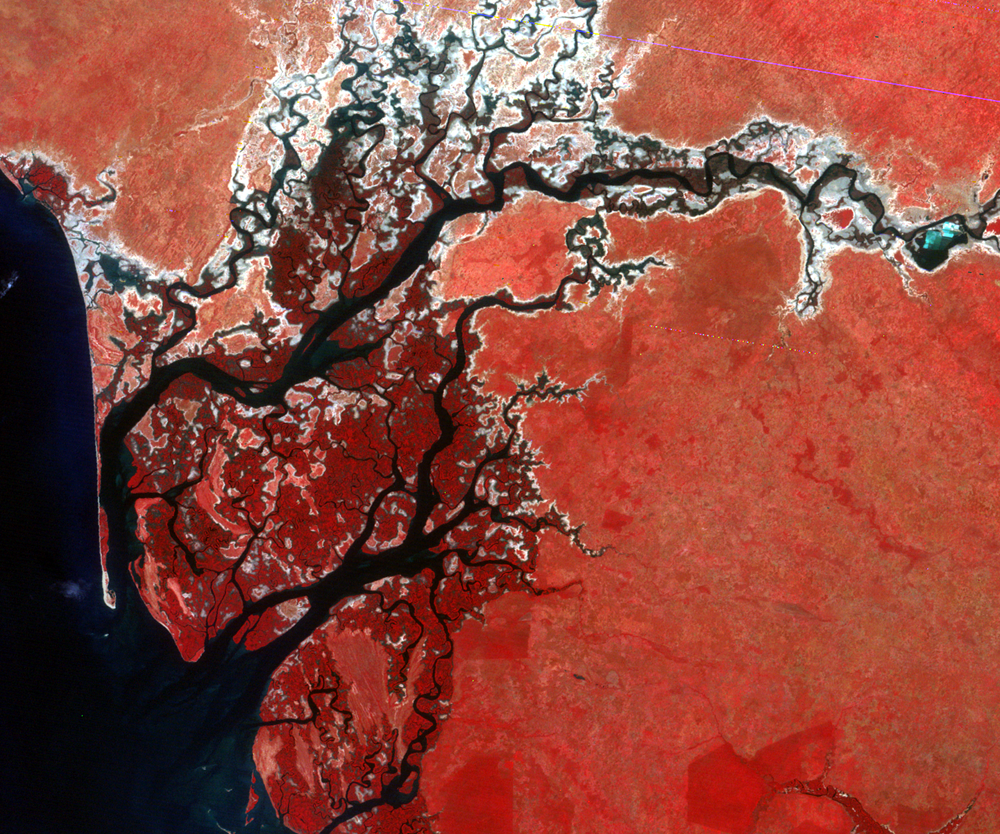 Nov. 5, 1972, Landsat 1 (path/row 220/50) — Saloum River, Senegal