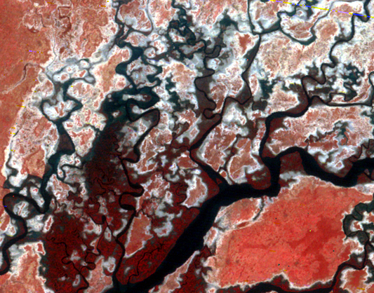 Nov. 5, 1972, Landsat 1 (path/row 220/50) — Close up of Saloum River, Senegal