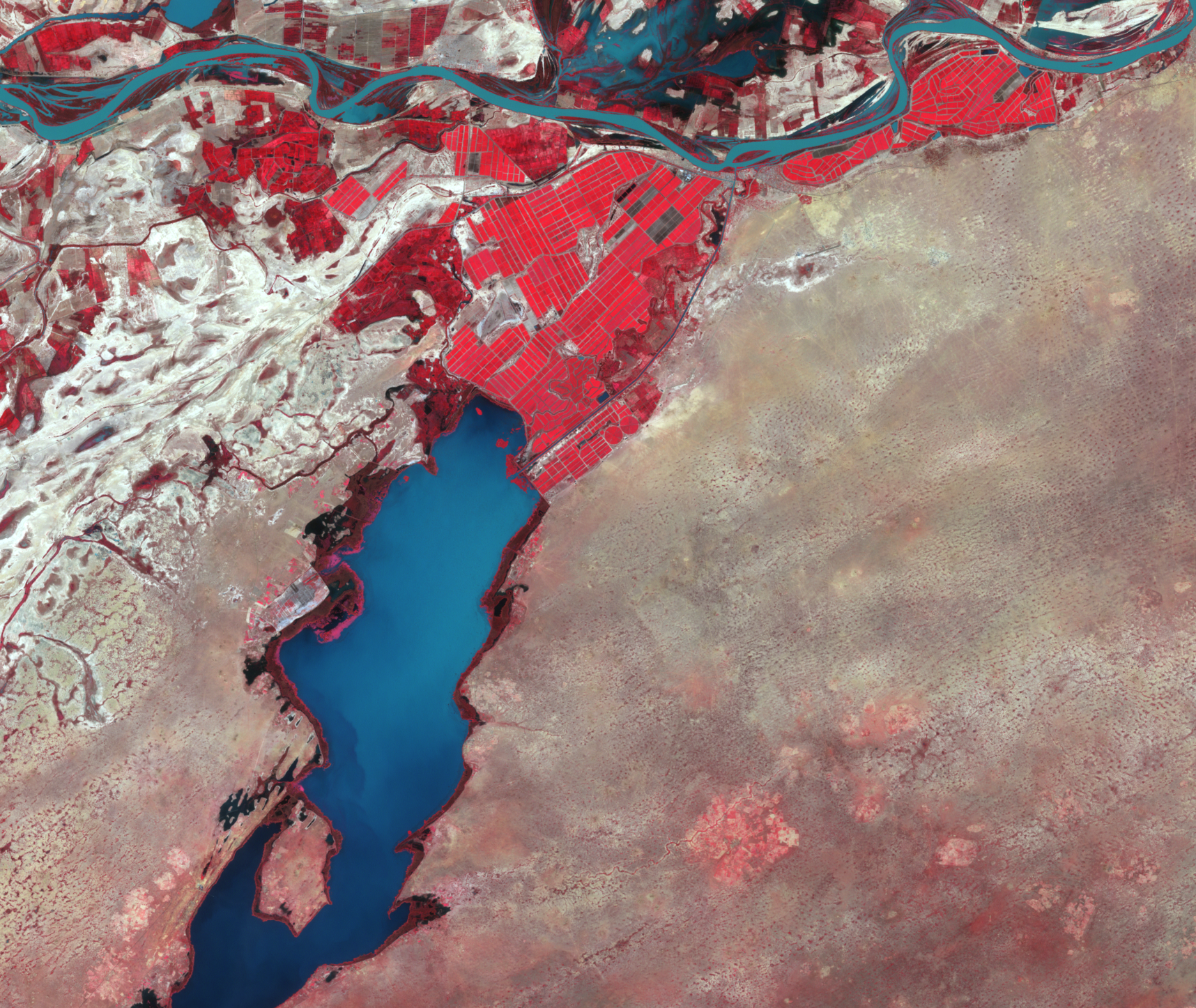  Nov. 4, 1999, Landsat 7 (path/row 205/49) — Irrigated fields near Rosso, Mauritania