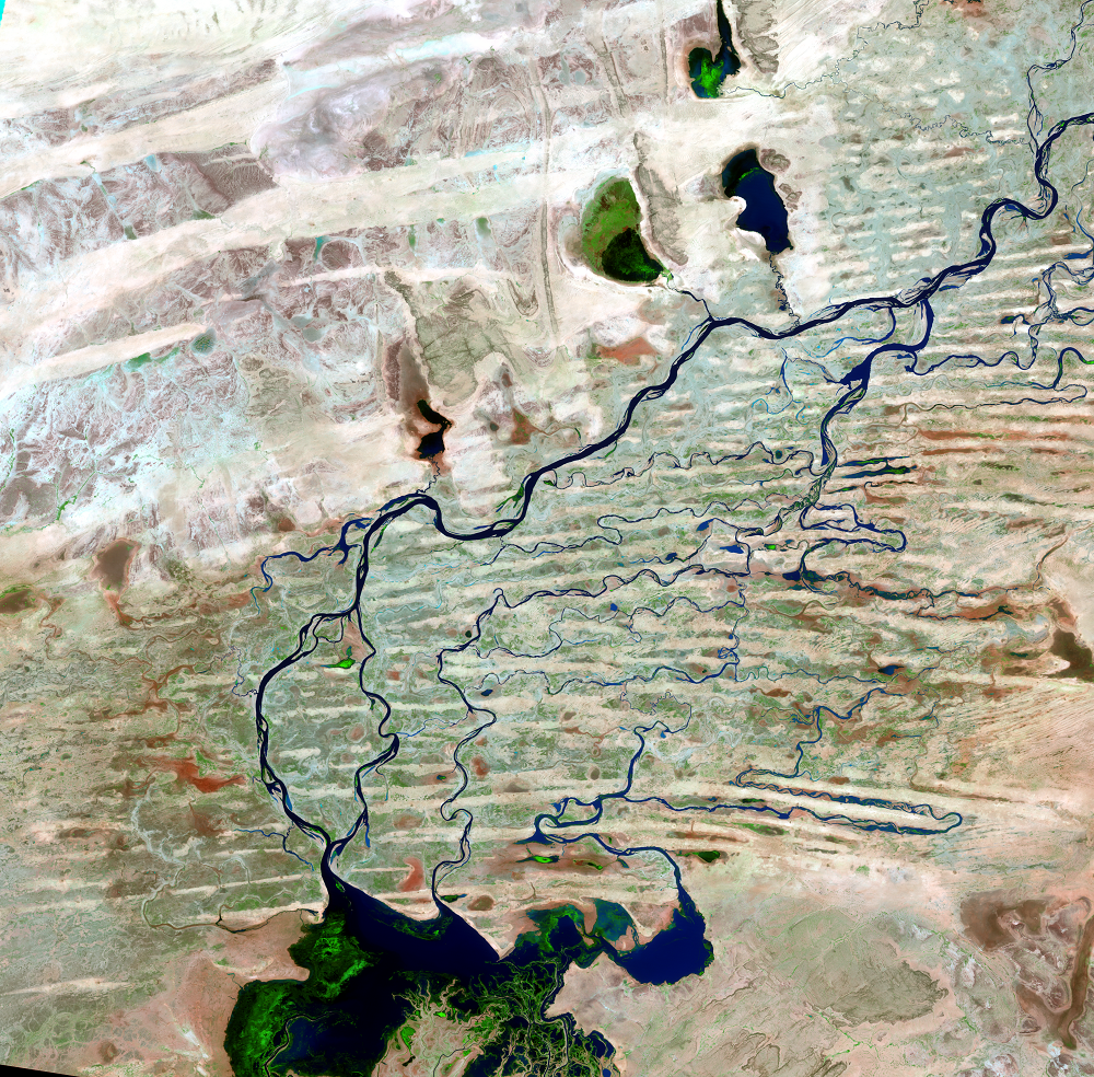 Nov. 10, 1984, Landsat 5 (path/row 197/49) — Northern Niger River Inland Delta, Mali
