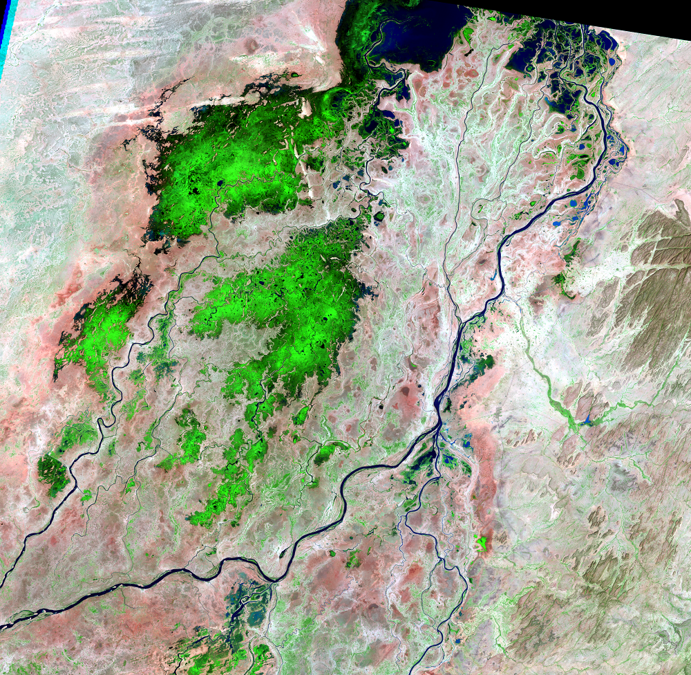 Nov. 10, 1984, Landsat 5 (path/row 197/50) — Southern Niger River Inland Delta, Mali