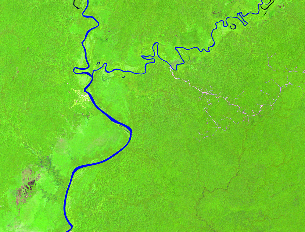 Nov. 20, 1990, Landsat 5 (path/row 100/65) — Location of palm oil plantations, Papua, Indonesia