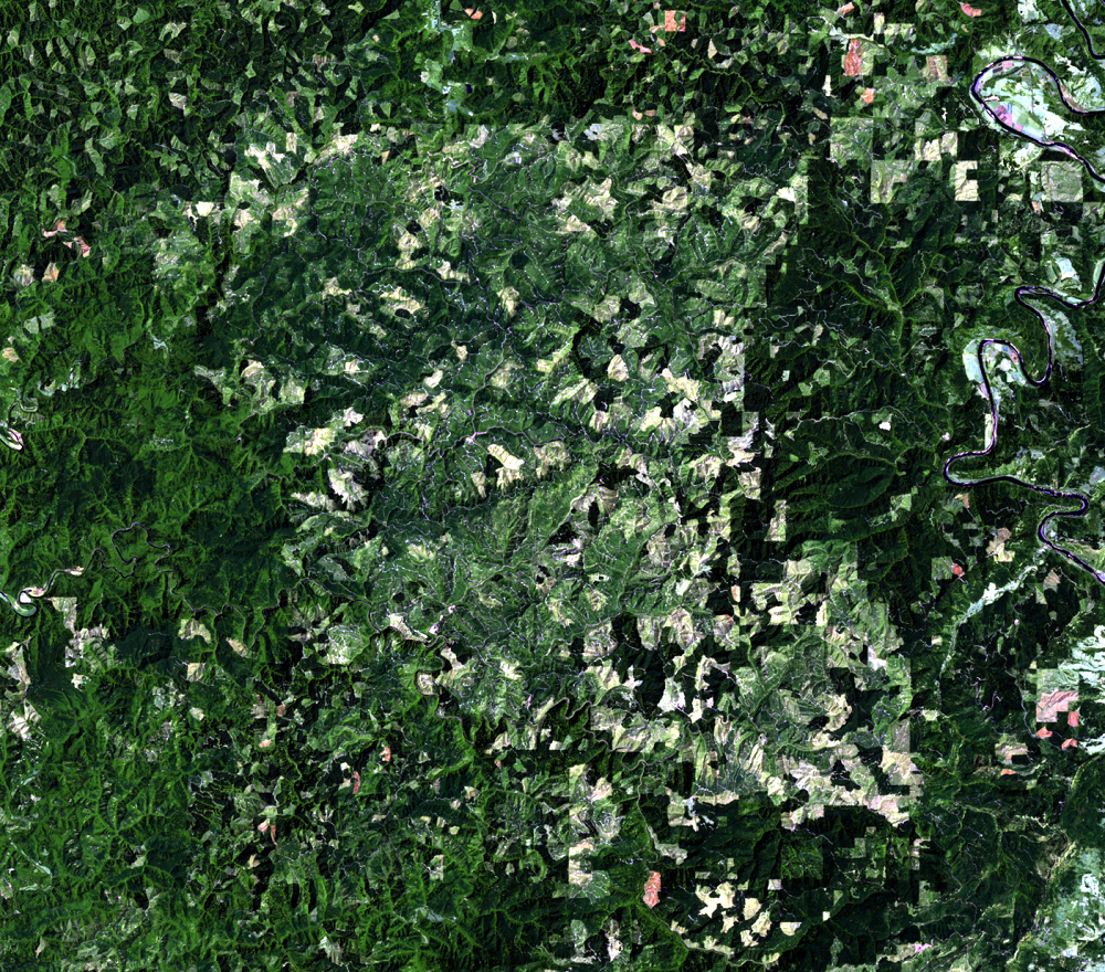 July 19, 1984, Landsat 5 (path/row 46/30) — logging patterns, OR, USA