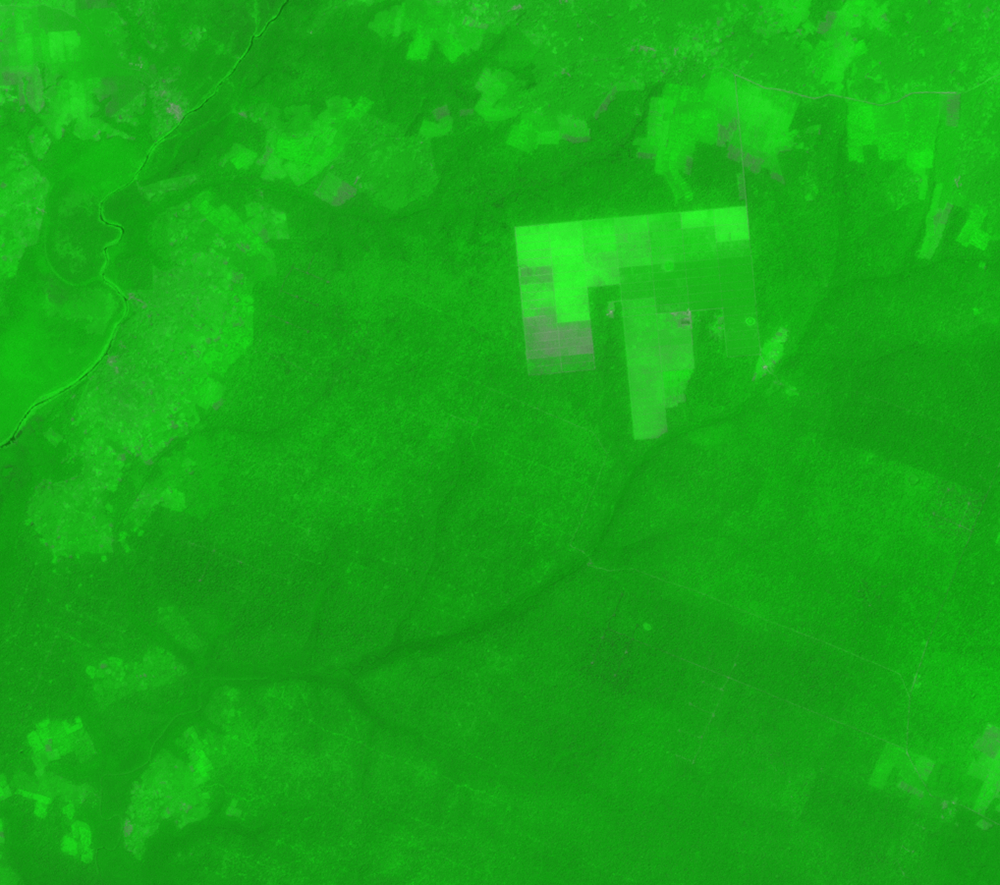 Dec. 11, 1984, Landsat 5 (path/row 190/56) — Okomu Forest Reserve, Nigeria