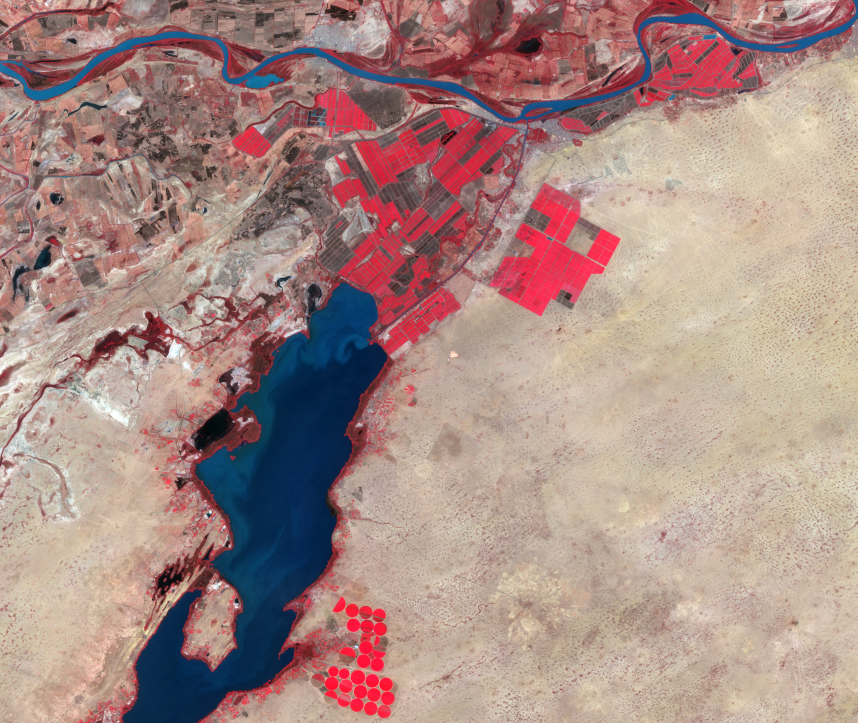 Jan. 6, 2020, Landsat 8 (path/row 205/49) — Irrigated fields near Rosso, Mauritania
