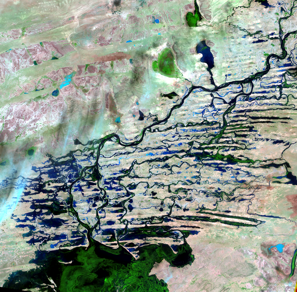 Nov. 28, 1999, Landsat 7 (path/row 197/49) — Northern Niger River Inland Delta, Mali