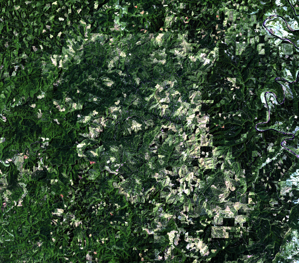 July 30, 1988, Landsat 5 (path/row 46/30) — logging patterns, OR, USA