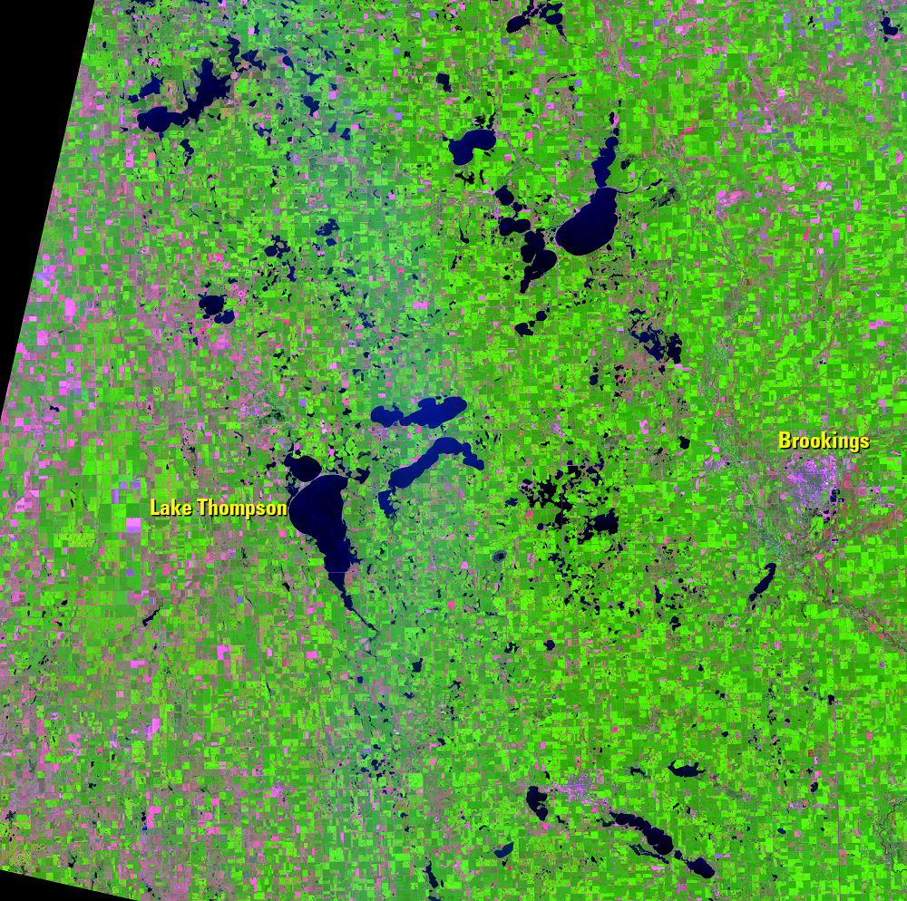 Aug. 11, 2018, Landsat 8 (path/row 29/29) — Part of the Prairie Pothole Region, eastern South Dakota