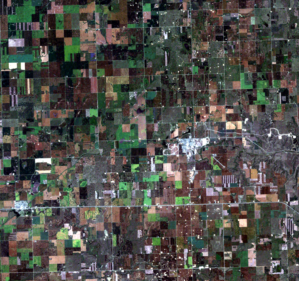 Aug. 8, 2010, Landsat 5 (path/row 34/26) — Tioga, North Dakota, USA