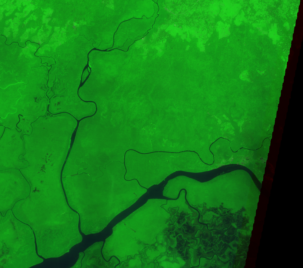 Jan. 5, 1991, Landsat 4 (path/row 190/56) — Gilli Gilli Forest Reserve, Nigeria