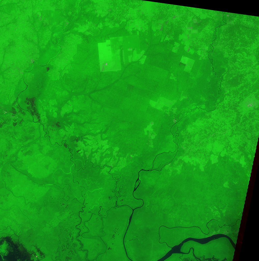 Jan. 5, 1991, Landsat 4 (path/row 190/56) — Okomu Forest Reserve, Nigeria