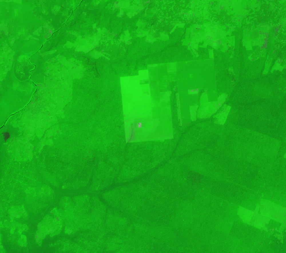 Jan. 5, 1991, Landsat 4 (path/row 190/56) — Okomu Forest Reserve, Nigeria