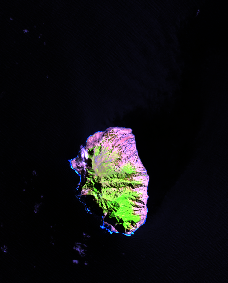 Mar. 8, 2014, Landsat 8 (path/row 6/83) — Selkirk Island close-up