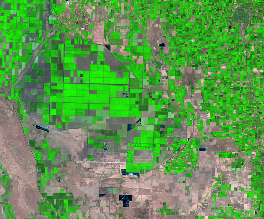 Aug. 25, 1990, Landsat 5 (path/row 42/35) — Tulare Basin, California, USA