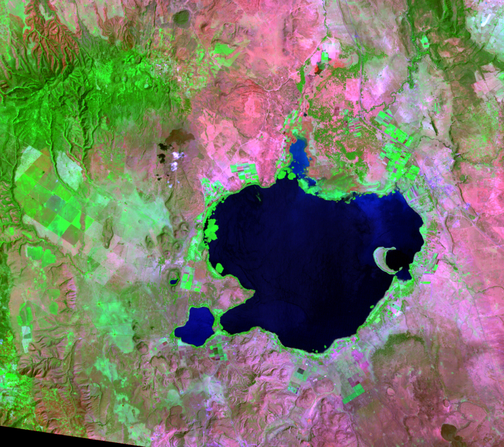 Nov. 22, 1984, Landsat 5 (path/row 169/60) — Lake Naivasha, Kenya