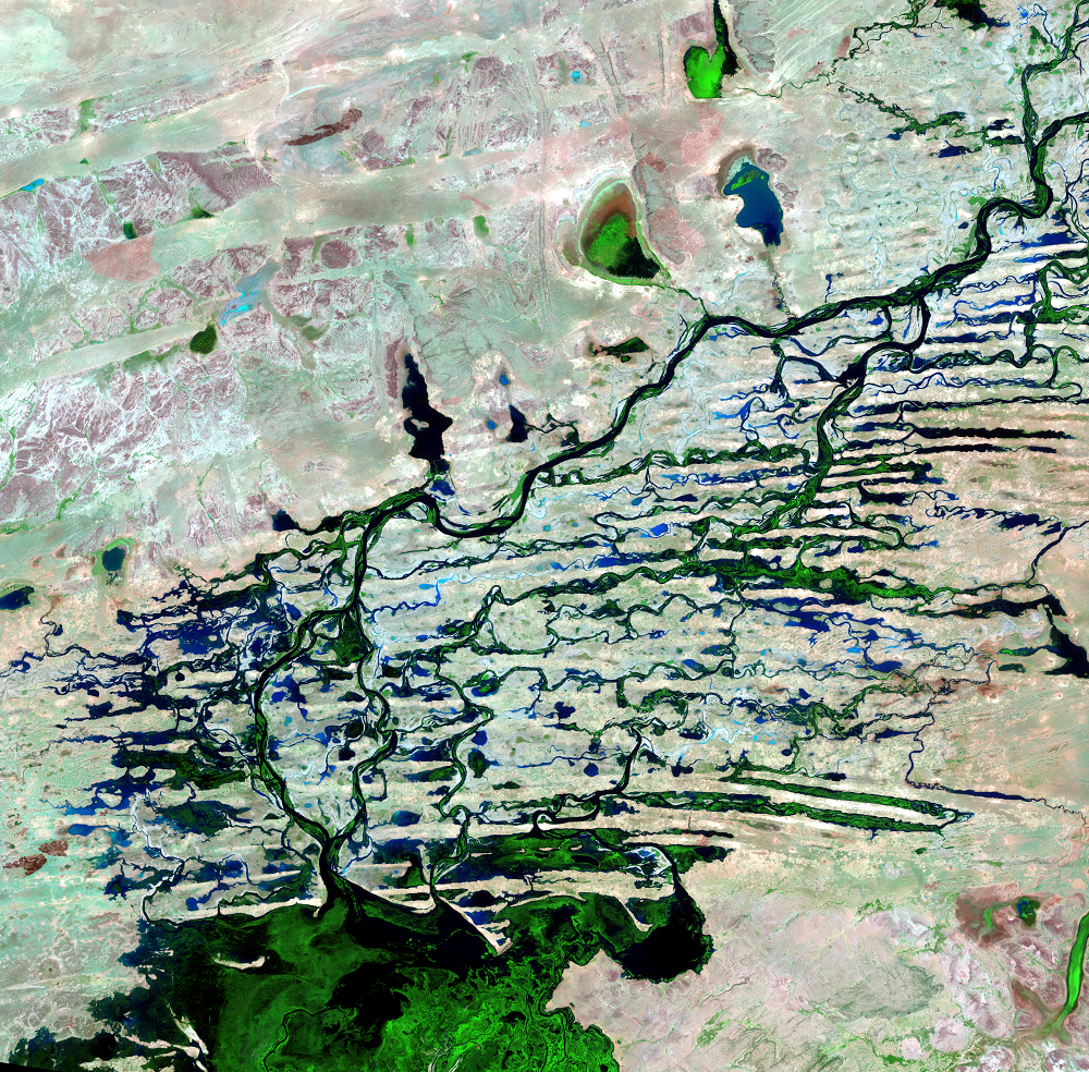 Dec. 4, 2010, Landsat 5 (path/row 197/49) — Northern Niger River Inland Delta, Mali