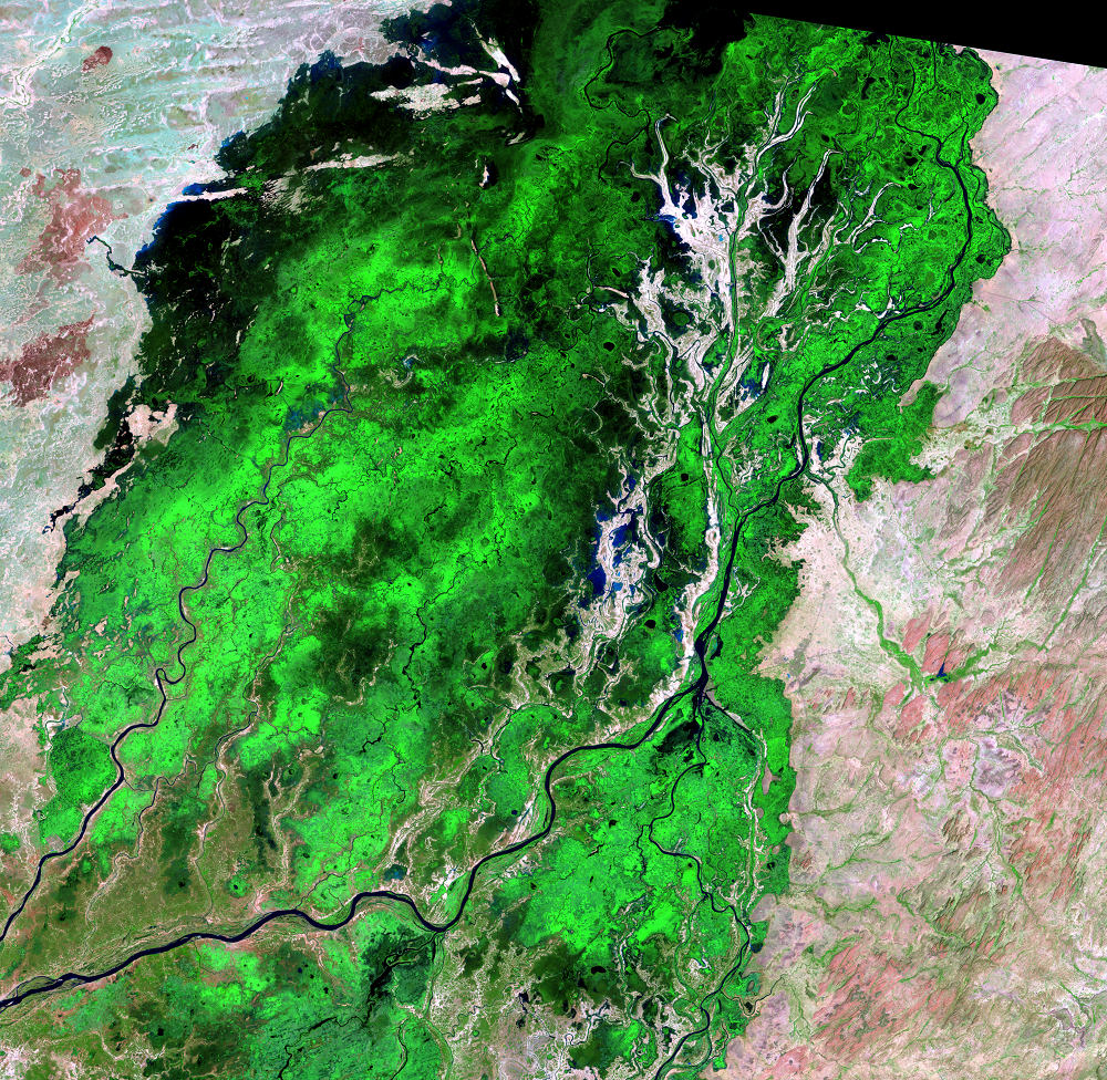 Dec. 4, 2010, Landsat 5 (path/row 197/50) — Southern Niger River Inland Delta, Mali