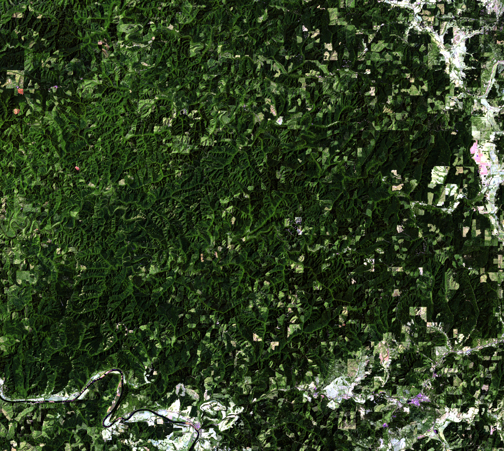 July 31, 1994, Landsat 5 (path/row 46/30) — logging patterns, OR, USA