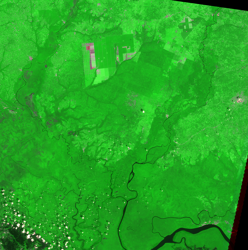 Dec. 13, 1999, Landsat 7 (path/row 190/56) — Okomu Forest Reserve and Okomu National Park, Nigeria