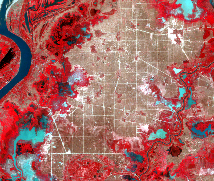 Jan. 14, 2009, Landsat 5 (path/row 126/52) — Irrigation canals east of Phnom Penh, Cambodia