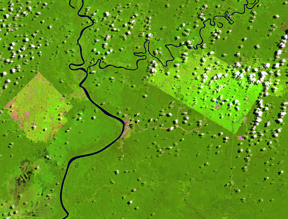 Apr. 4, 2011, Landsat 5 (path/row 100/65) — Location of palm oil plantations, Papua, Indonesia