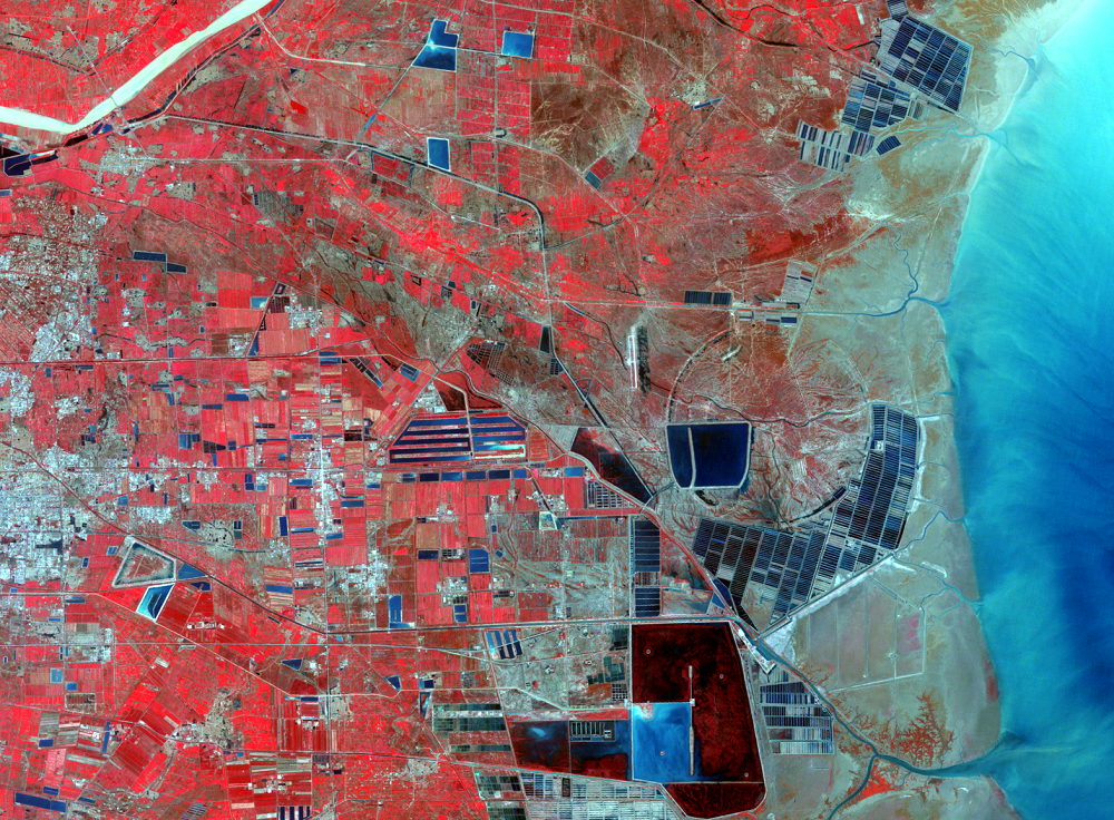 Sept. 23, 1991, Landsat 5 (path/row 121/34) — Dongying, China