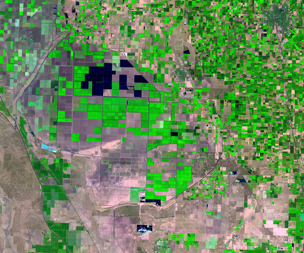 Aug. 29, 2009, Landsat 5 (path/row 42/35) — Tulare Basin, California, USA