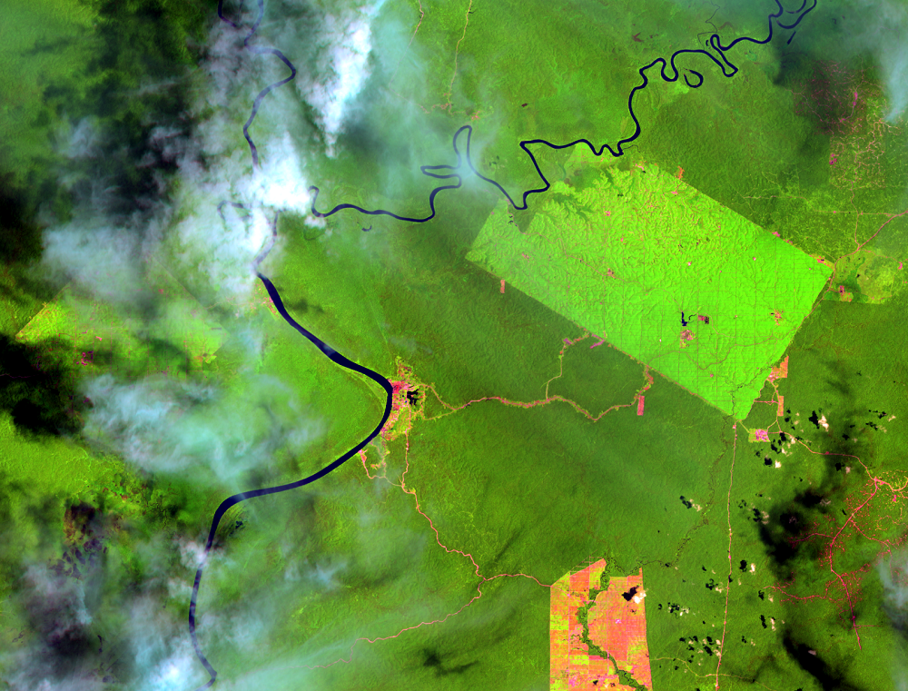 Feb. 7, 2014, Landsat 8 (path/row 100/65) — Location of palm oil plantations, Papua, Indonesia